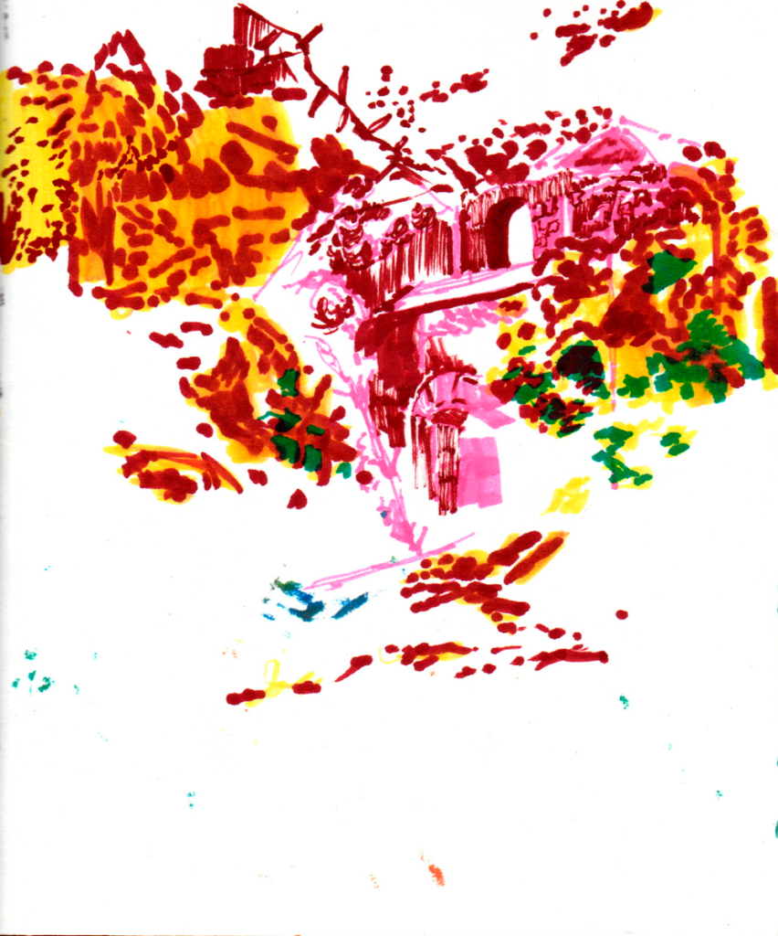 dib